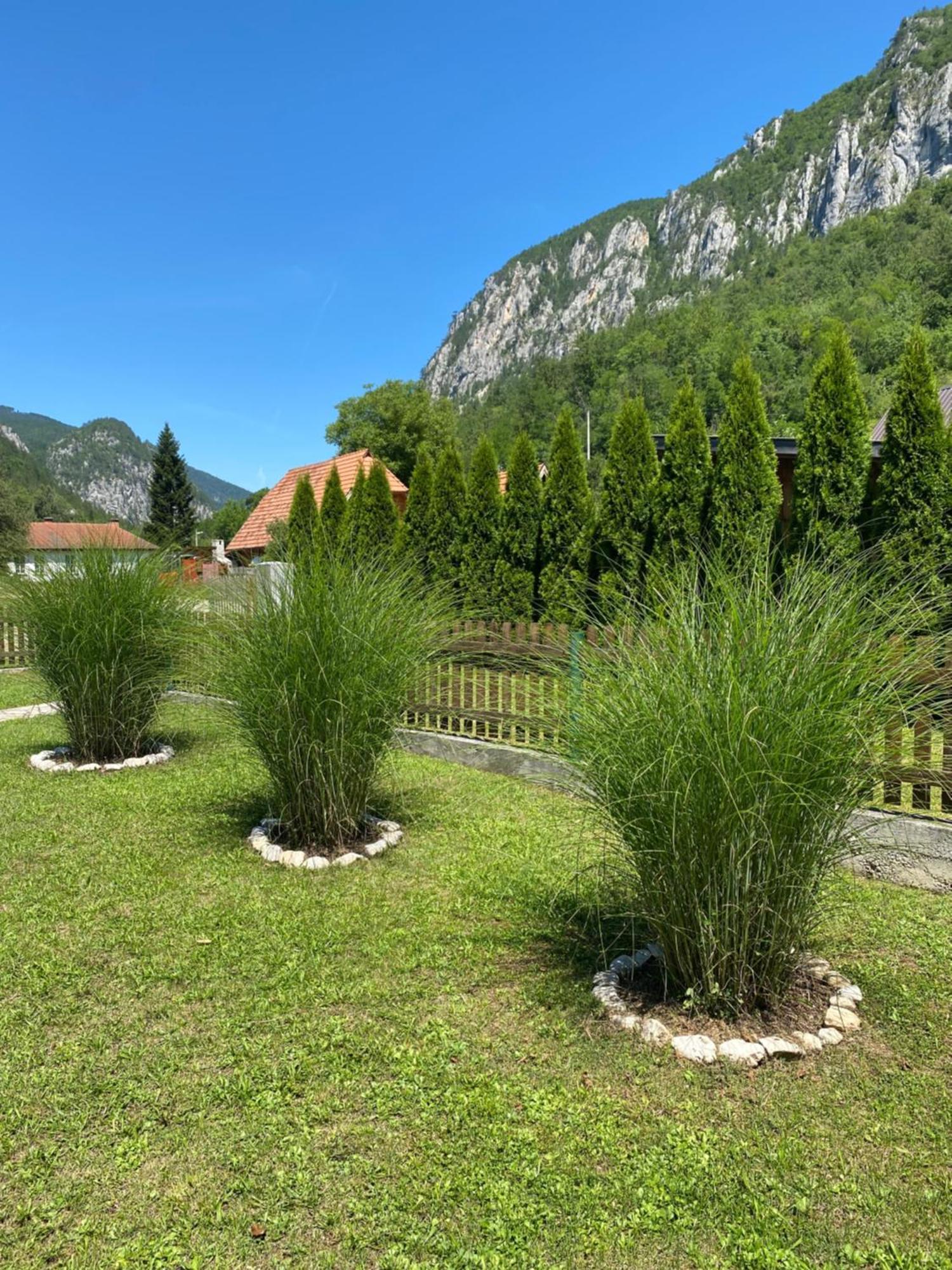 Apartmani D&S Mokra Gora Kültér fotó